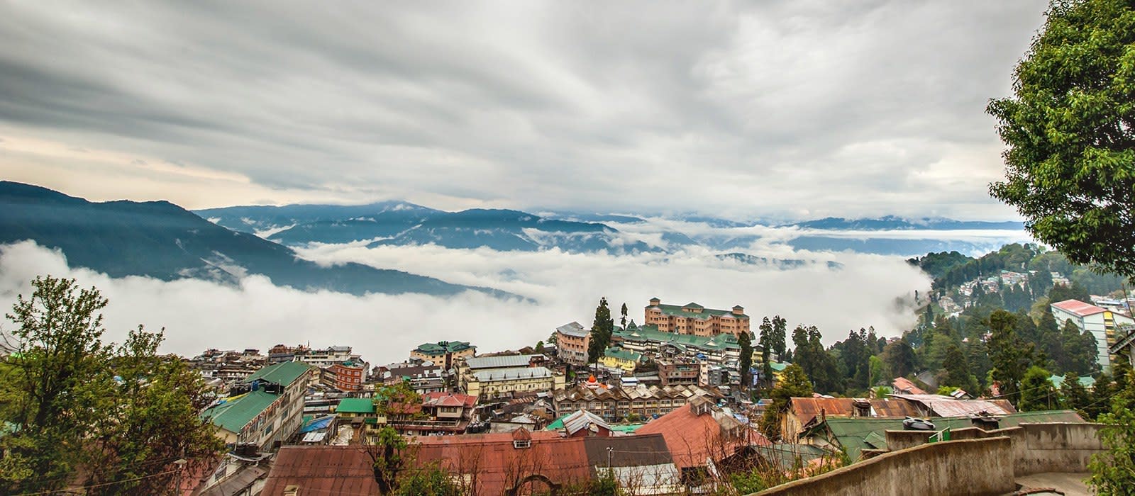 Darjeeling-4-Star-Executive-02-Nights-03-Days