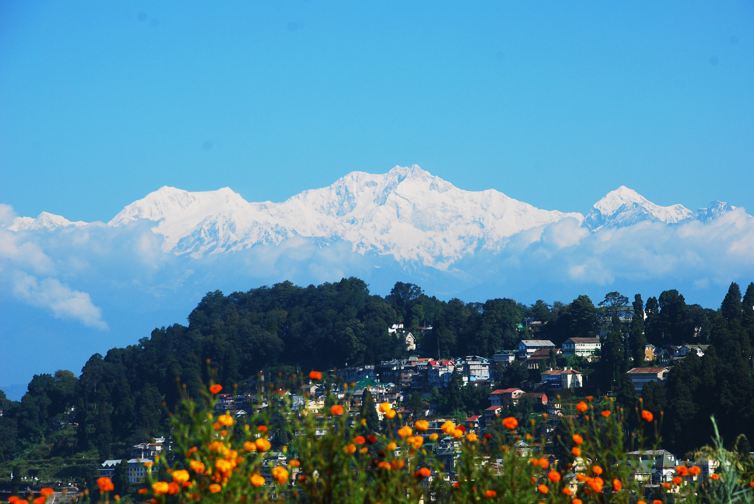 Darjeeling-Gangtok-4-Star-Executive-04-Nights-05-Days