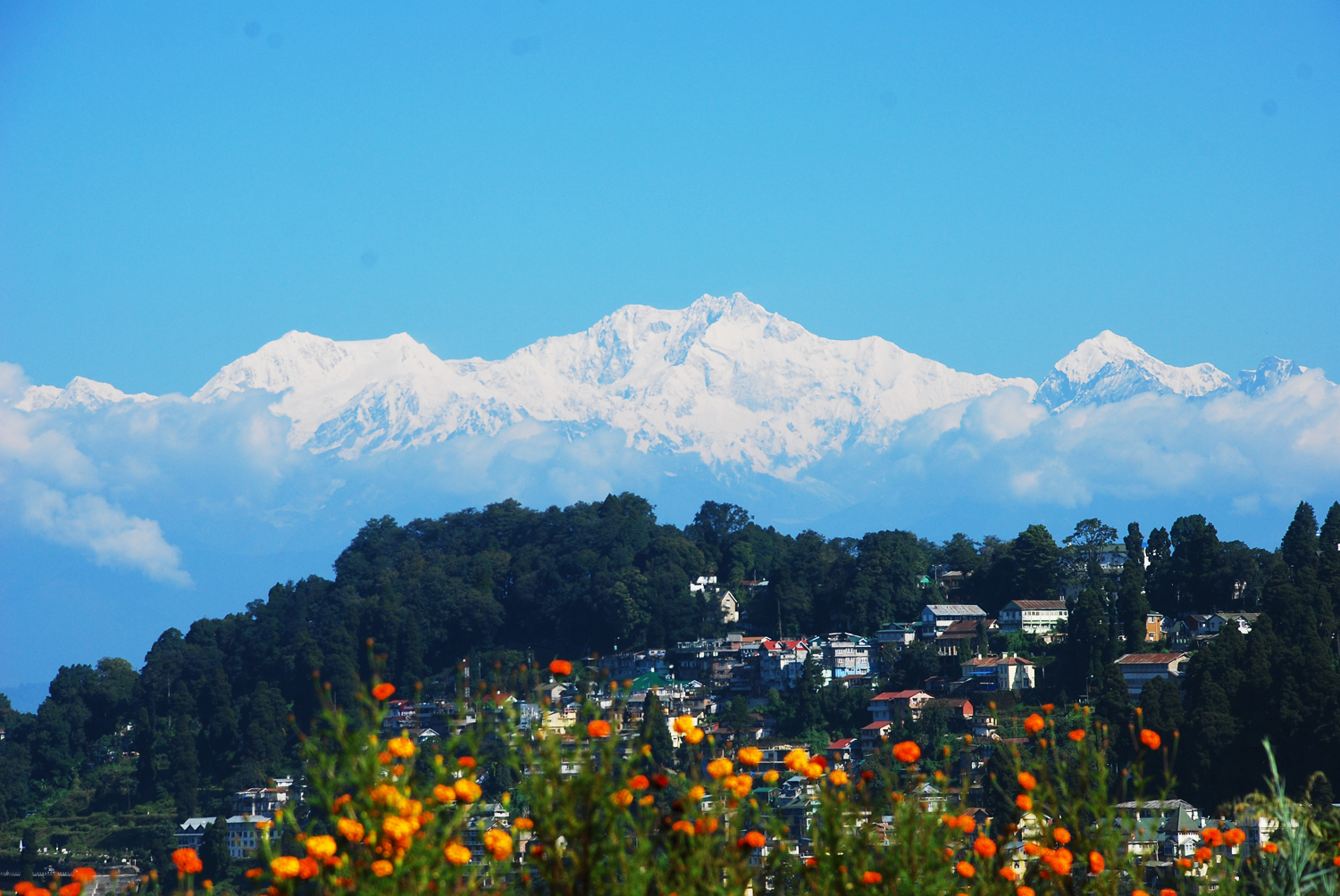 Darjeeling-Gangtok-2-Star-Satndard-04-Nights-05-Days