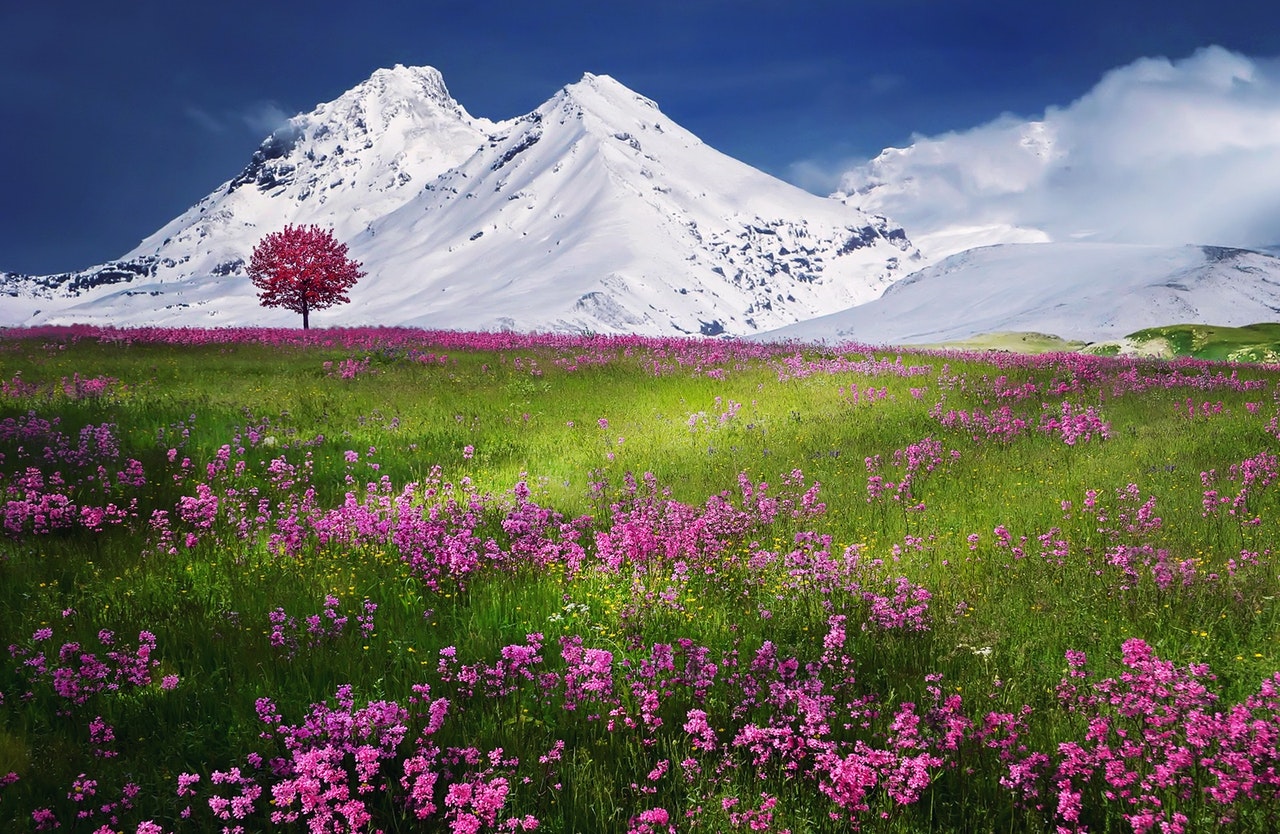 gangtok-lachen-lachung-darjeeling-8-n-9-d