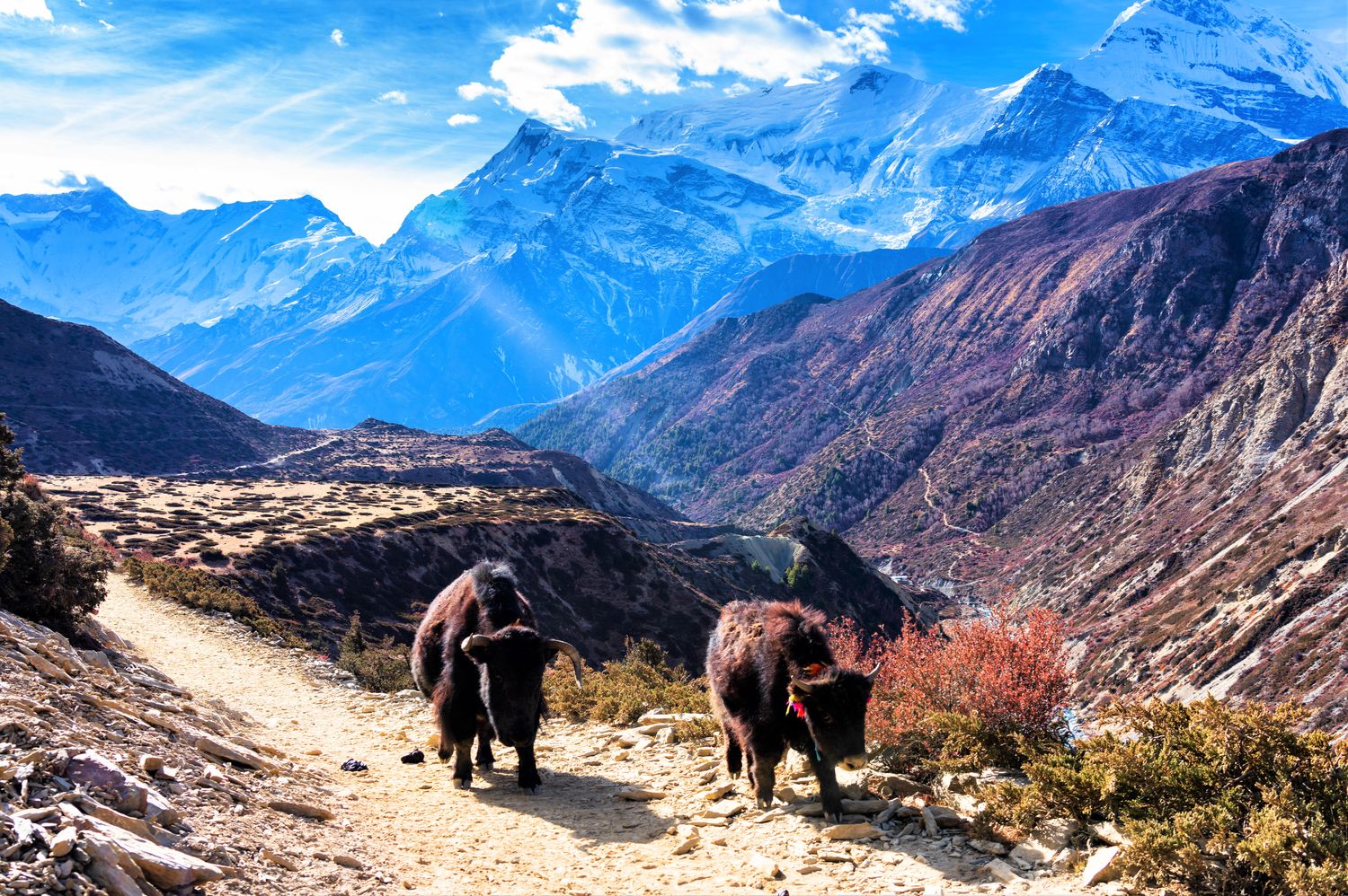 Nepal-7-nights-8-days